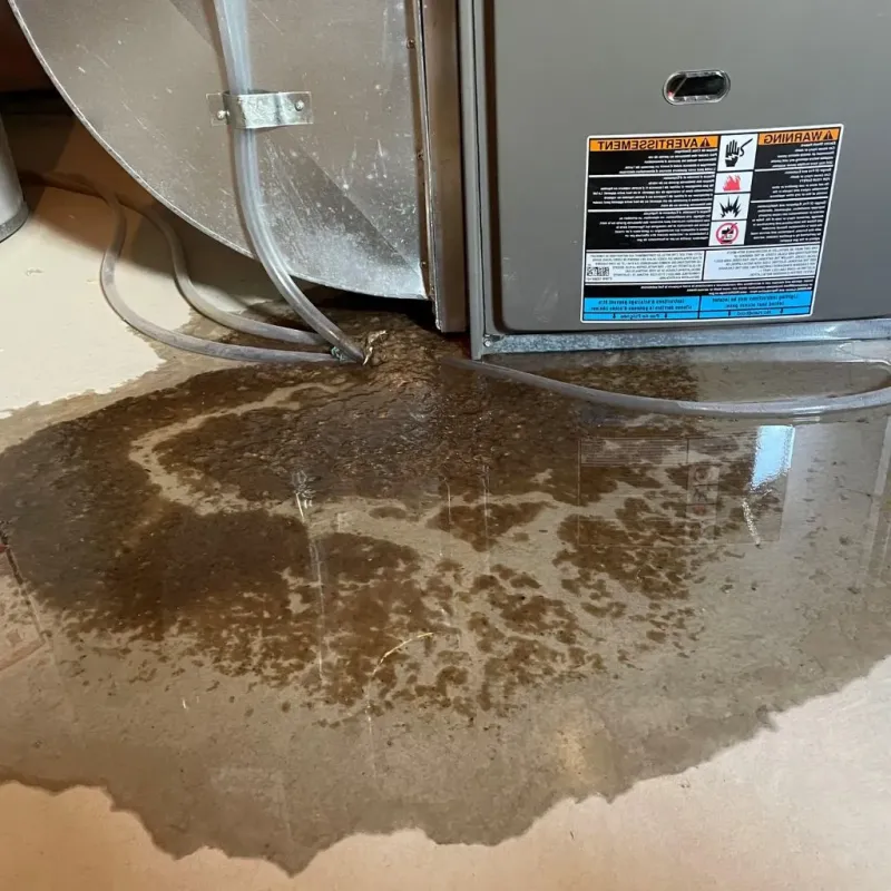 Pipe Burst and Leak Restoration in Brookneal, VA