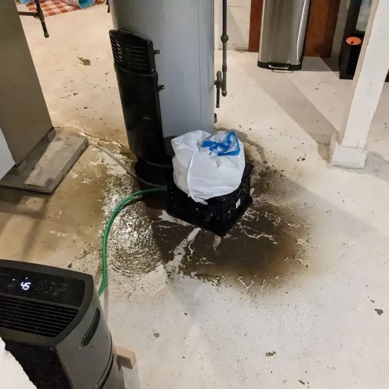Sewage Backup Cleanup Service in Brookneal, VA